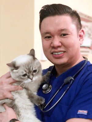 Dr. Jonathan Perez DVM, Associate Veterinarian