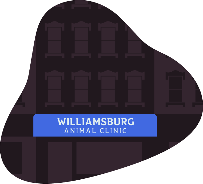 Williamsburg Animal Clinic